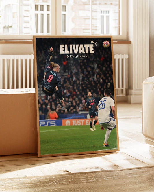 Erling Haaland Poster Print