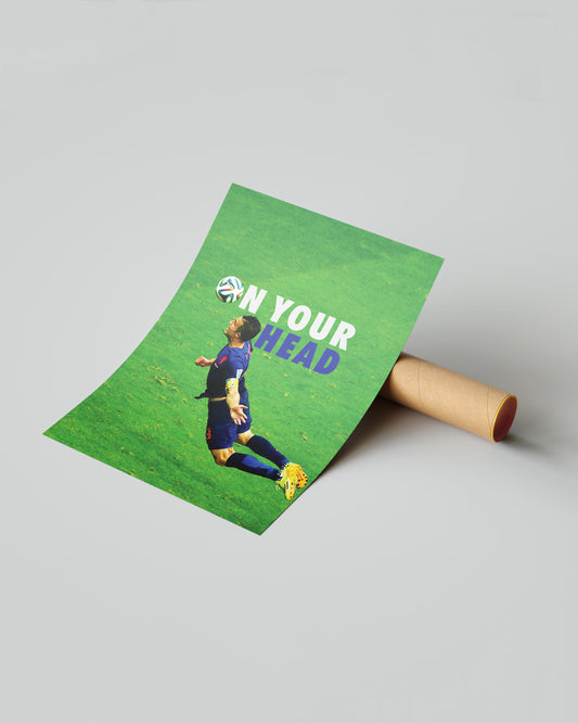 Robin Van Persie Poster Print